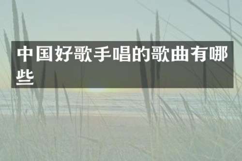 中国好歌手唱的歌曲有哪些