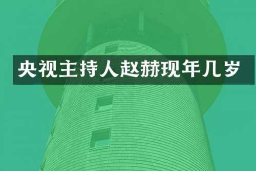 央视主持人赵赫现年几岁