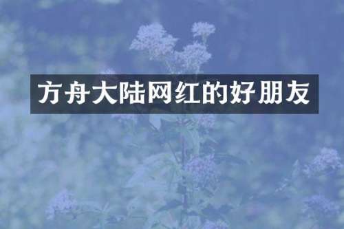 方舟大陆网红的好朋友