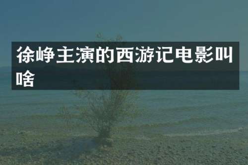 徐峥主演的西游记电影叫啥