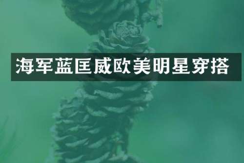 海军蓝匡威欧美明星穿搭