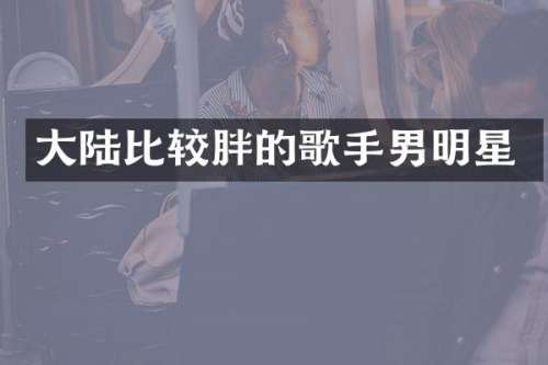 大陆比较胖的歌手男明星