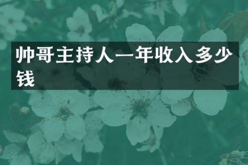 帅哥主持人一年收入多少钱