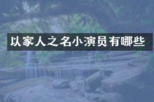以家人之名小演员有哪些