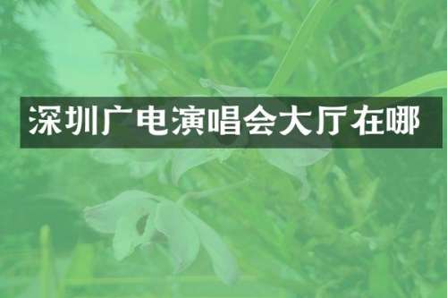 深圳广电演唱会大厅在哪