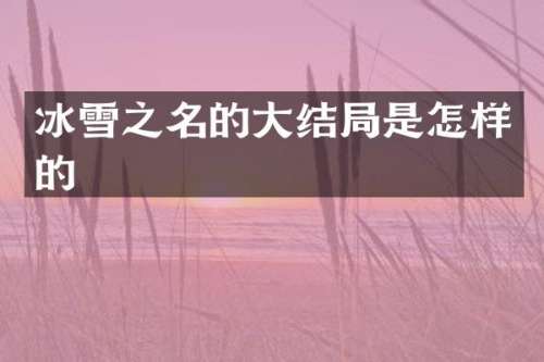 冰雪之名的大结局是怎样的
