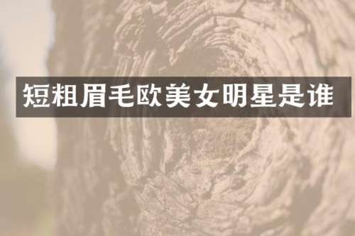 短粗眉毛欧明星是谁
