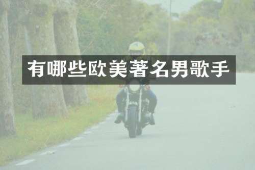 有哪些欧美著名男歌手