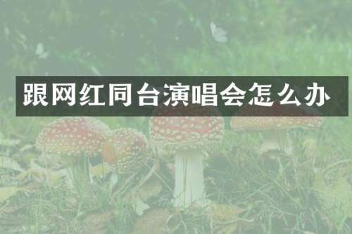 跟网红同台演唱会怎么办