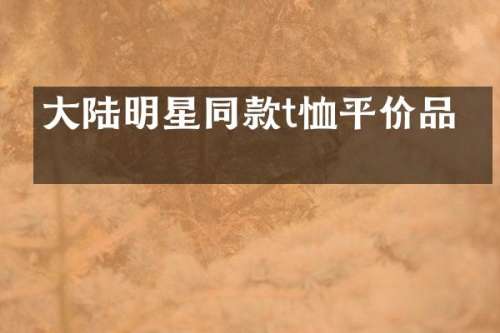 大陆明星同款t恤平价品牌