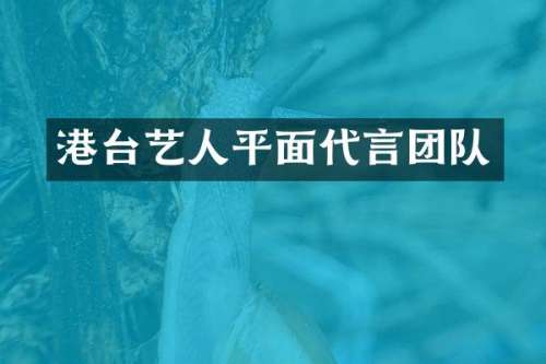 港台艺人平面代言团队