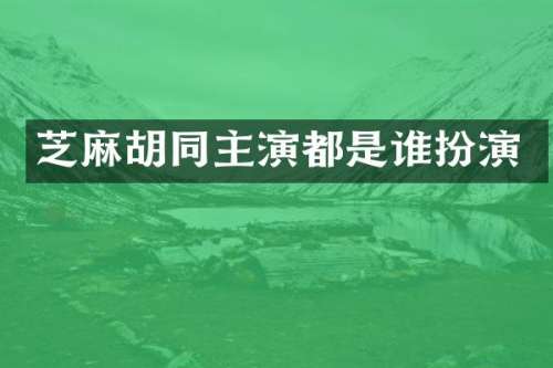 芝麻胡同主演都是谁扮演