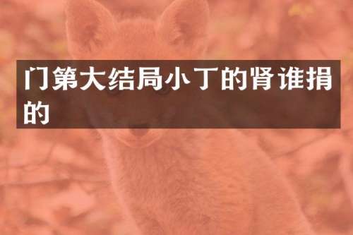 门第大结局小丁的肾谁捐的