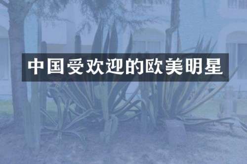 中国受欢迎的欧美明星