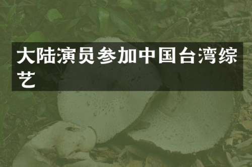 大陆演员参加中国台湾综艺
