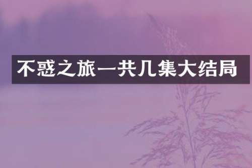 不惑之旅一共几集大结局