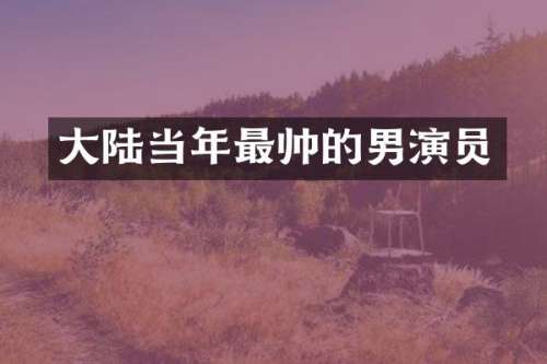大陆当年最帅的男演员