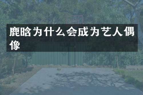 鹿晗为什么会成为艺人偶像