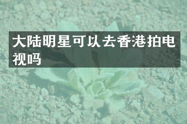 大陆明星可以去香港拍电视吗