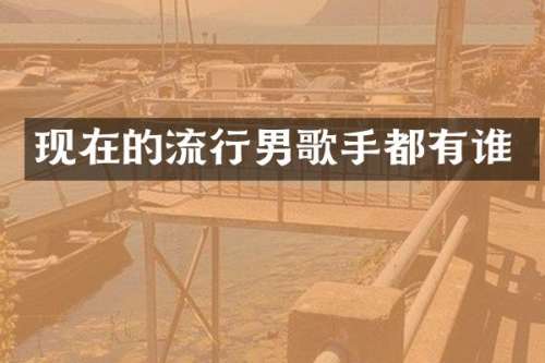 现在的流行男歌手都有谁