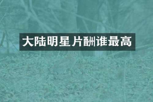 大陆明星片酬谁最高