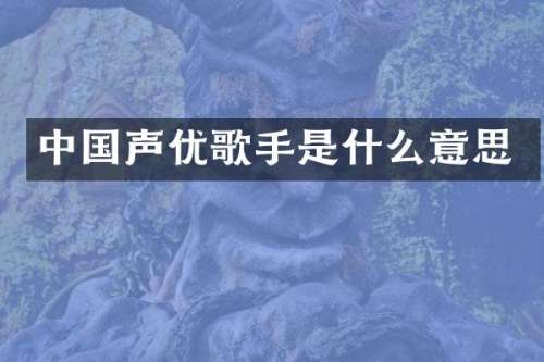 中国声优歌手是什么意思