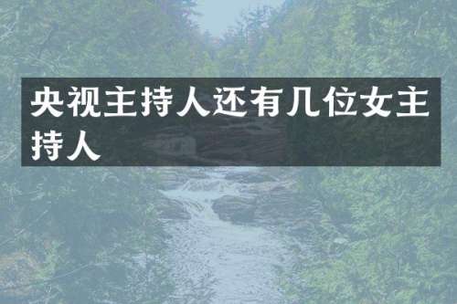央视主持人还有几位女主持人