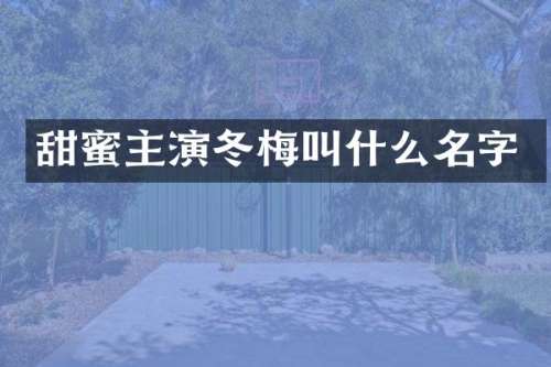 甜蜜主演冬梅叫什么名字