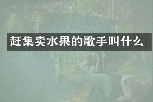 赶集卖水果的歌手叫什么