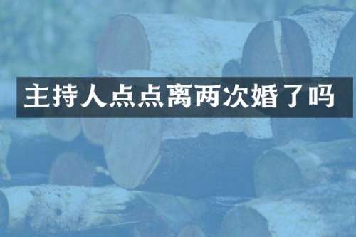 主持人点点离两次婚了吗