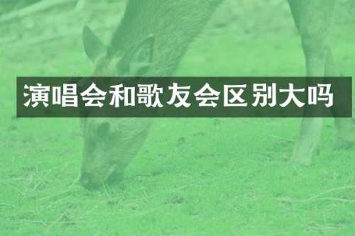 演唱会和歌友会区别大吗