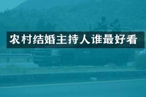 农村结婚主持人谁最好看