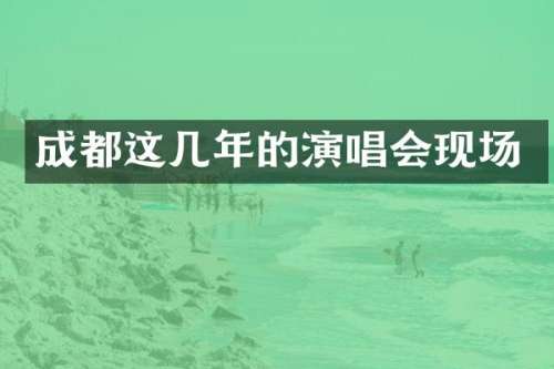成都这几年的演唱会现场