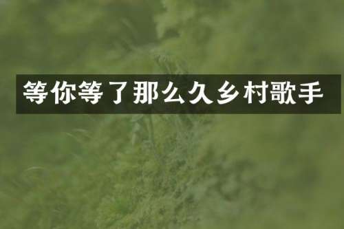 等你等了那么久乡村歌手