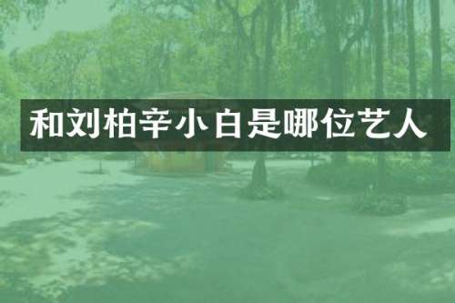 和刘柏辛小白是哪位艺人