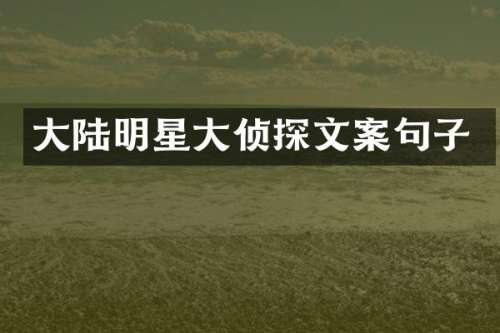 大陆明星大侦探文案句子
