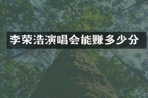 李荣浩演唱会能赚多少分