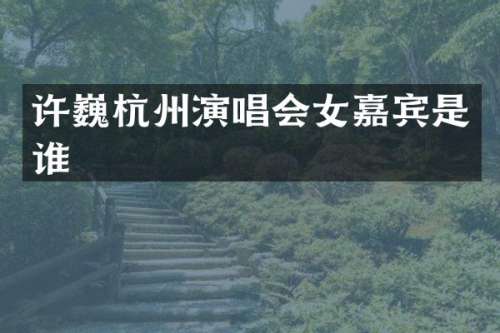 许巍杭州演唱会女嘉宾是谁