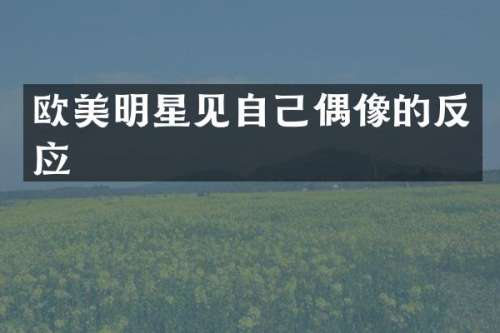 欧美明星见自己偶像的反应
