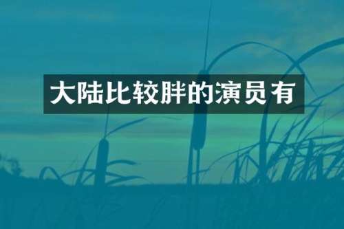 大陆比较胖的演员有