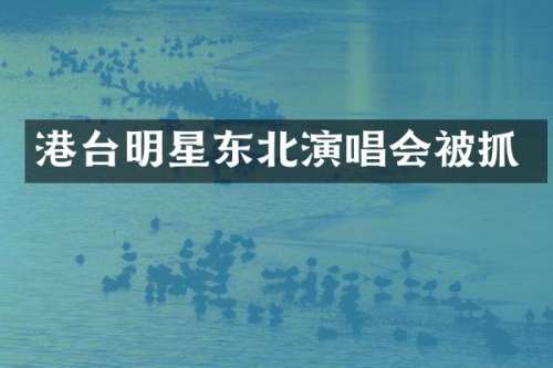 港台明星东北演唱会被抓