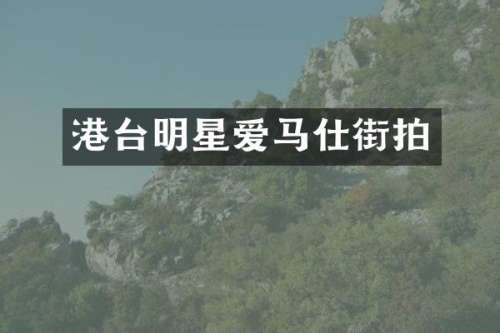 港台明星爱马仕街拍