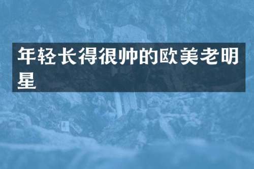 年轻长得很帅的欧美老明星