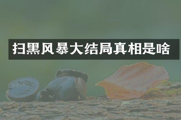扫黑风暴大结局真相是啥