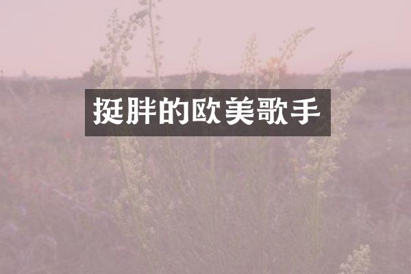 挺胖的欧美歌手