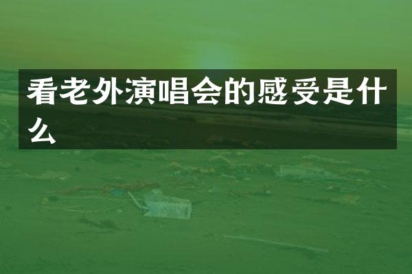 看老外演唱会的感受是什么