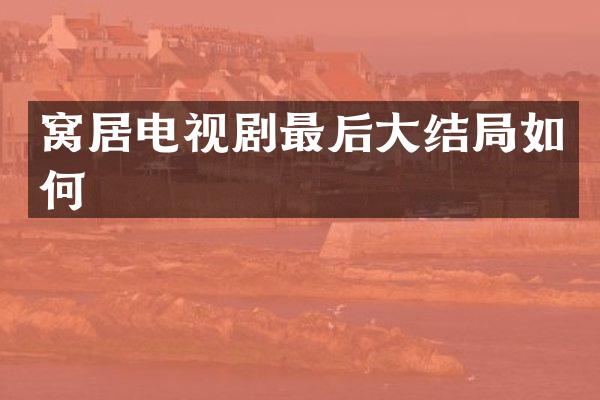 窝居电视剧最后大结局如何