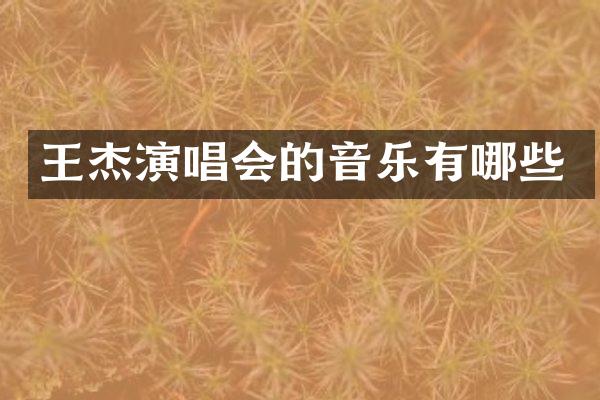 王杰演唱会的音乐有哪些