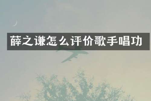 薛之谦怎么评价歌手唱功