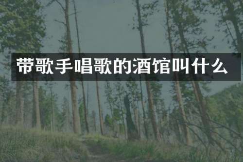 带歌手唱歌的酒馆叫什么